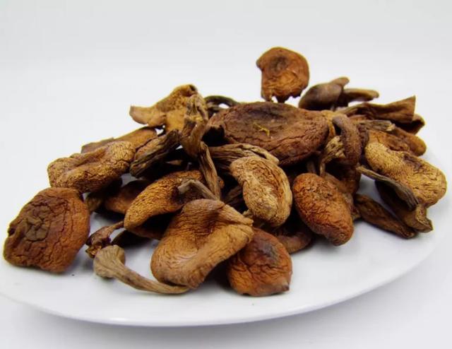 國家蘑菇地理：中國哪里的蘑菇最好吃？