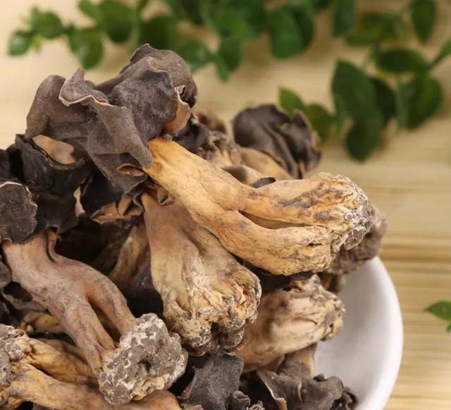 國家蘑菇地理：中國哪里的蘑菇最好吃？