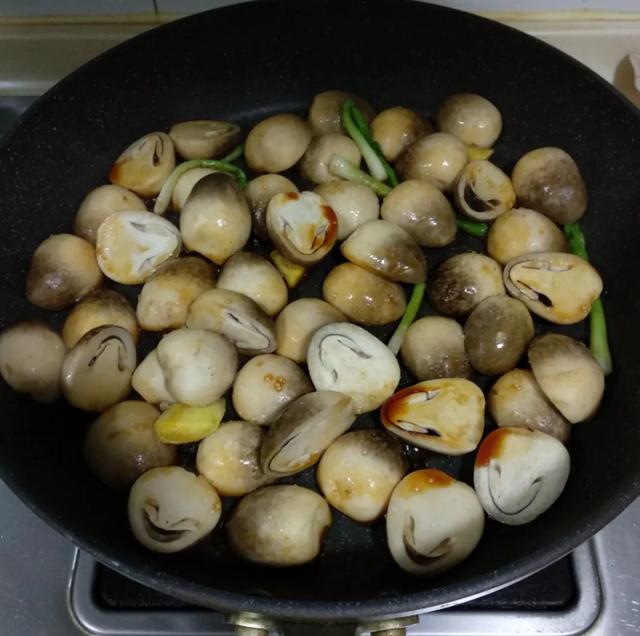 國家蘑菇地理：中國哪里的蘑菇最好吃？