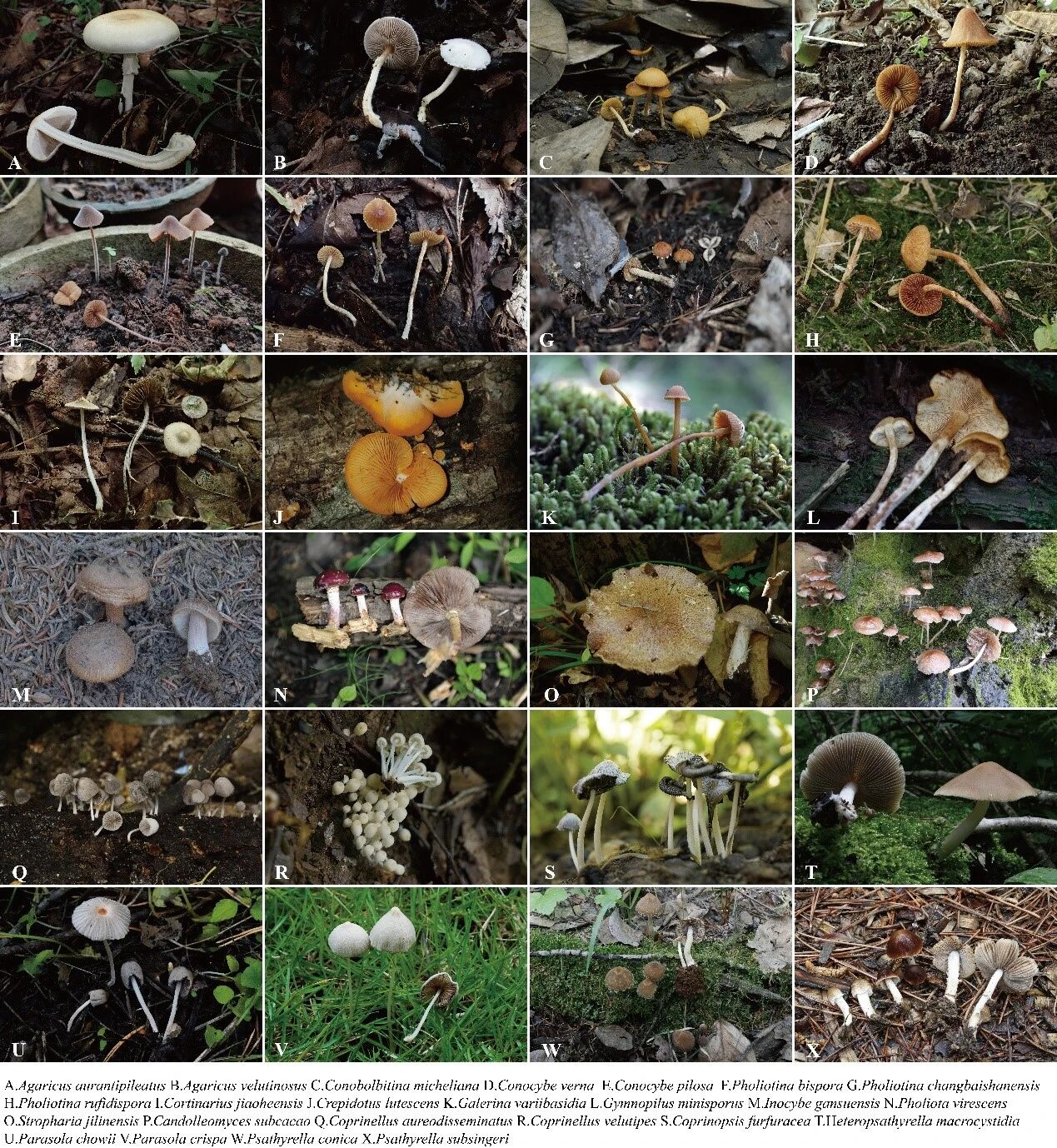 圖片關(guān)鍵詞 圖片關(guān)鍵詞